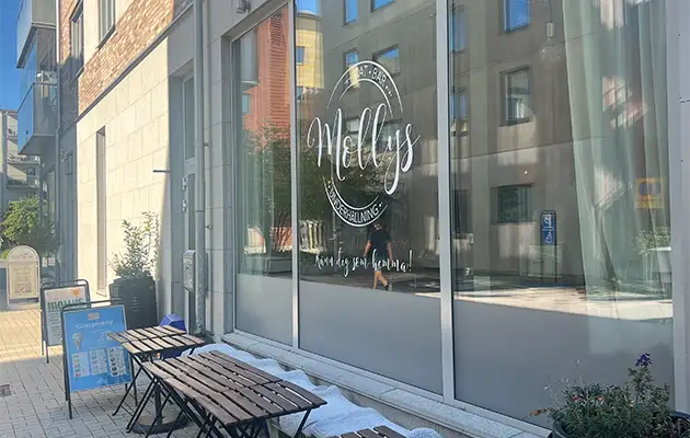 insynsskydd fonsterfilm goteborg insynsskydd fonsterfilm goteborg